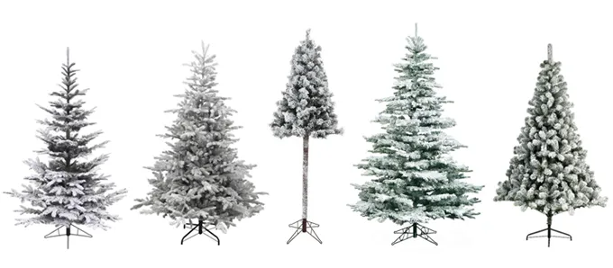 5 different types of frosted christmas trees